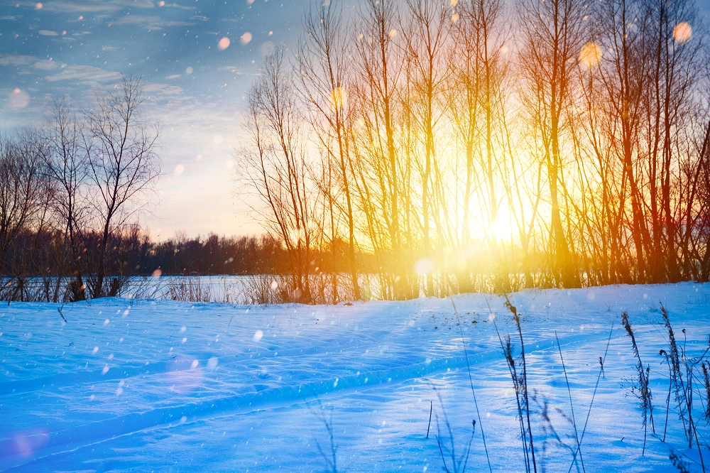 Joy Amidst Grief